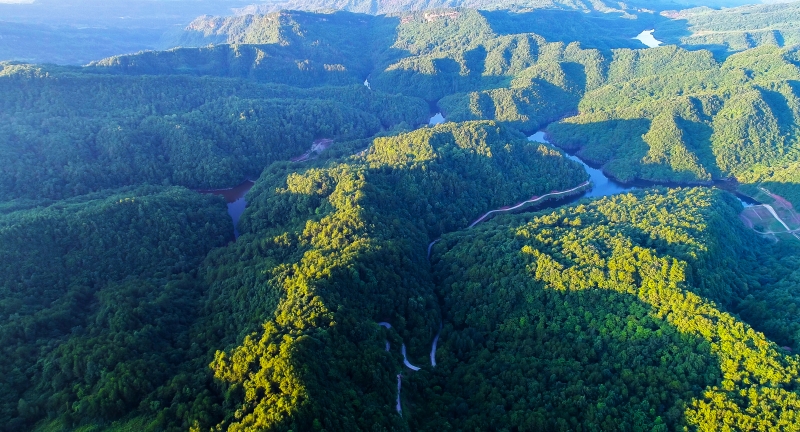 鎮龍山森林公園五龍湖
